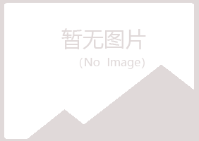 江西夏岚会计有限公司